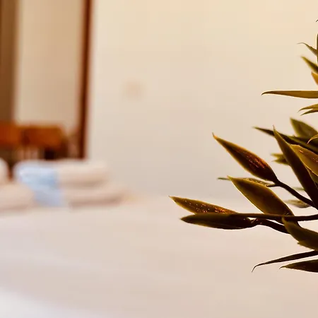 Διαμέρισμα Click&guest - Canarian Essence In Gran Canaria